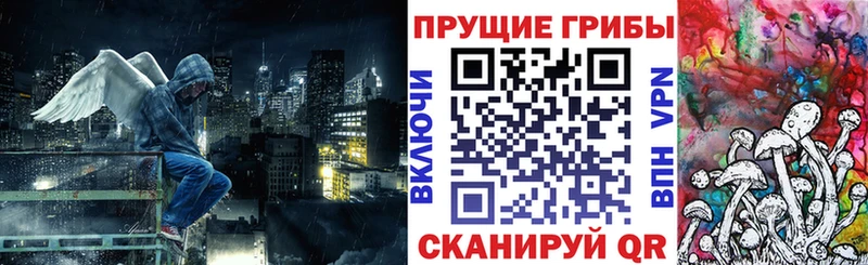 Псилоцибиновые грибы GOLDEN TEACHER  как найти закладки  Батайск 